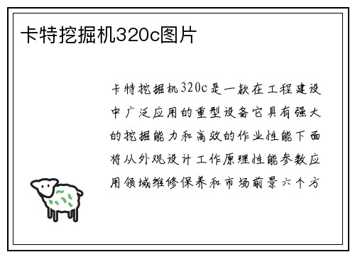 卡特挖掘机320c图片